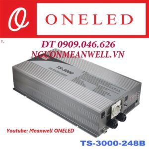 bo-nguon-dang-tinh-meanwell-ts-3000-248b