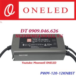 bo-nguon-dang-tinh-meanwell-pwm-120-12knbst