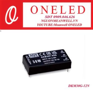 Bộ nguồn dạng tĩnh meanwell DKM30G-12N