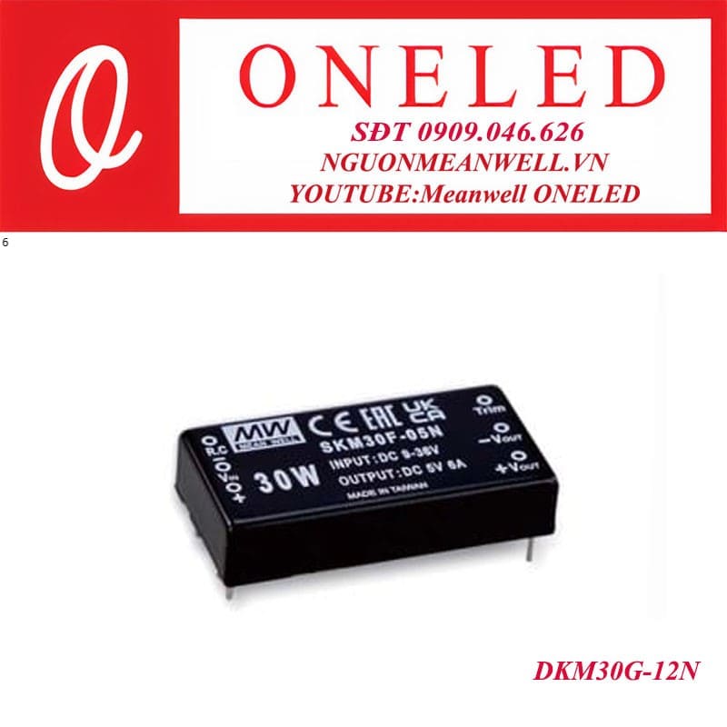 Bộ nguồn dạng tĩnh meanwell DKM30G-12N Bộ nguồn dạng tĩnh meanwell DKM30G-12N