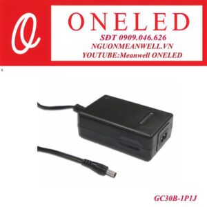 Bộ nguồn dạng tĩnh meanwell GC30B-1P1J