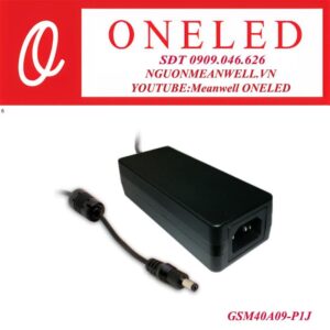 Bộ nguồn dạng tĩnh meanwell GSM40A09-P1J